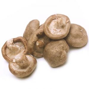 funghi-shiitake