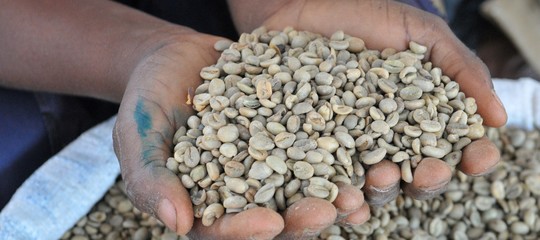Ethiopia: Italy supports the coffee sector