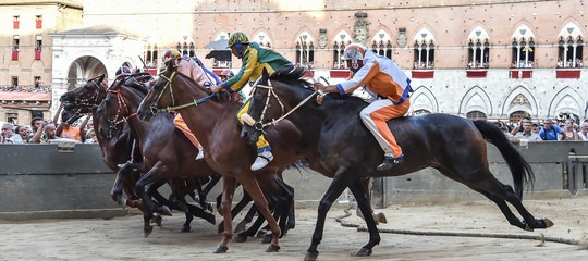 Palio di Siena: Vince la Tartuca con Remorex, il cavallo Raoul finisce in ospedale