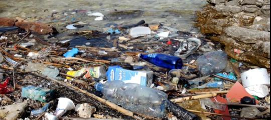 "Così provo a salvare il mare dalla plastica monouso". La scelta di Francesco