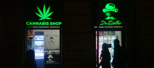 cannabis controlli negozi 