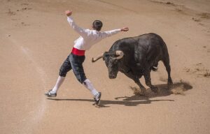 madrid-bull-fighting1