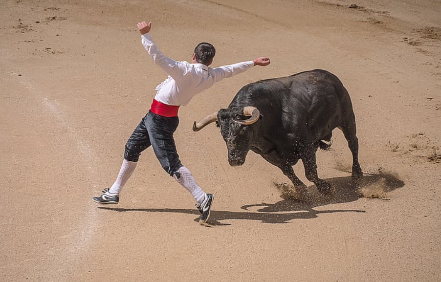 madrid-bull-fighting1